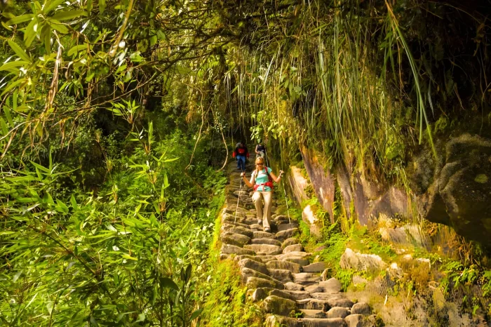 Aventura en el Camino Inca a Machupicchu