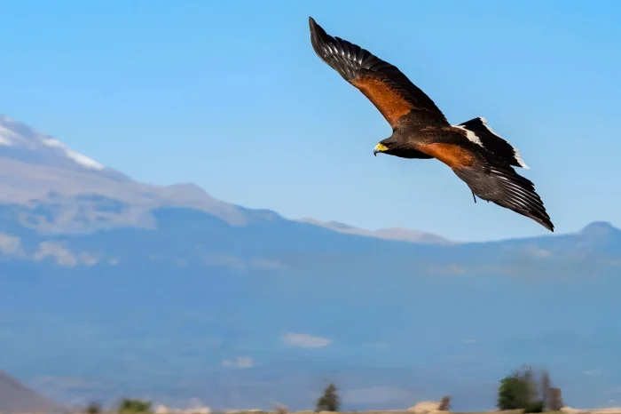 Arequipa, Lago Titicaca & Machu Picchu